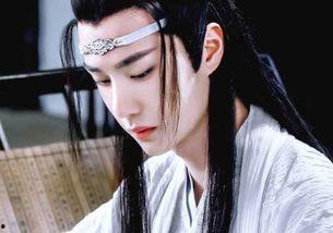 蓝忘机个人资料,翩翩公子，剑舞江湖的传奇侠客