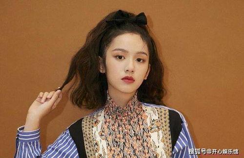 天国凤凰演员资料背景