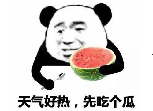 吃瓜表情包怎么回复别人呢,轻松应对网络调侃