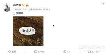 娱乐圈吃瓜感慨文案怎么写,揭秘明星背后的故事与真相